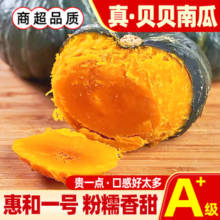 正宗惠和一号贝贝南瓜板栗味南瓜新鲜现摘栗子味软糯香甜粉面辅食