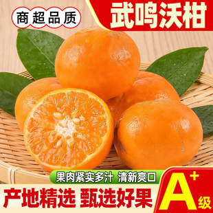 【新鲜速发】正宗广西武鸣沃柑当季新鲜水果现摘沙糖蜜橘时令桔子