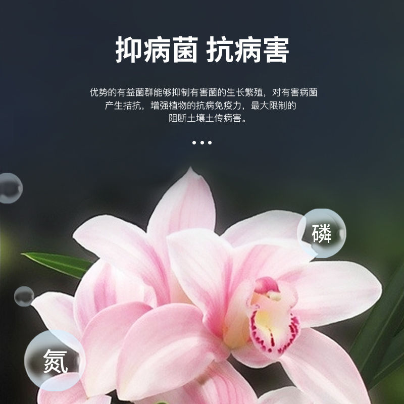 兰灵王兰花专用营养液兰花君子兰肥料生根催芽EM菌液微生物菌肥
