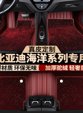 专用于比亚迪海鸥海豹06/07/05海豚海狮07/05DM/EV真皮全包围脚垫