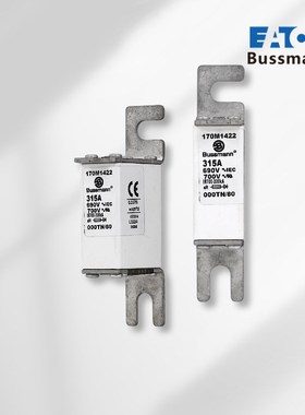 170M2684 170M2685170M 巴斯曼Bussmann170M快断熔断器保险丝现货