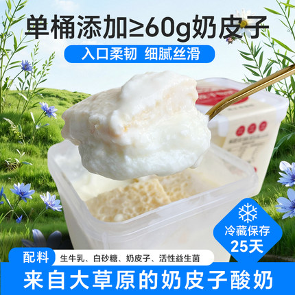 犇馥内蒙古草原特产加厚奶皮子老酸奶7种益生菌发酵营养代餐580g