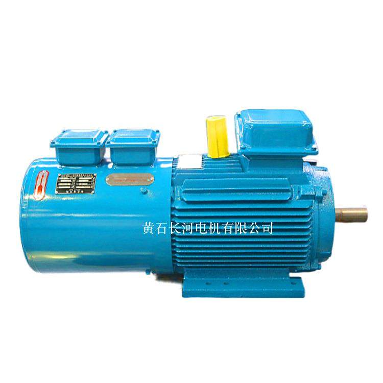 直销 YZP355L-10/200W起重变频电机 全国供应 全国质保