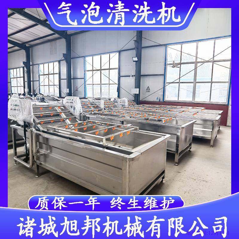 全自动果蔬气泡清洗机 鲍鱼海参清洗设备 油菜山野菜清洗流水线,清洗/食品/商业设备,果蔬加工设备,淘宝优惠券,粉丝福利购,淘宝优惠卷