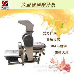 不锈钢果蔬破碎榨汁机 苹果香梨去核打汁机 果汁加工设备