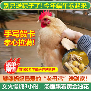 大只黄油老母鸡土鸡新鲜宰杀大别山走地鸡草鸡柴鸡农家散养整只