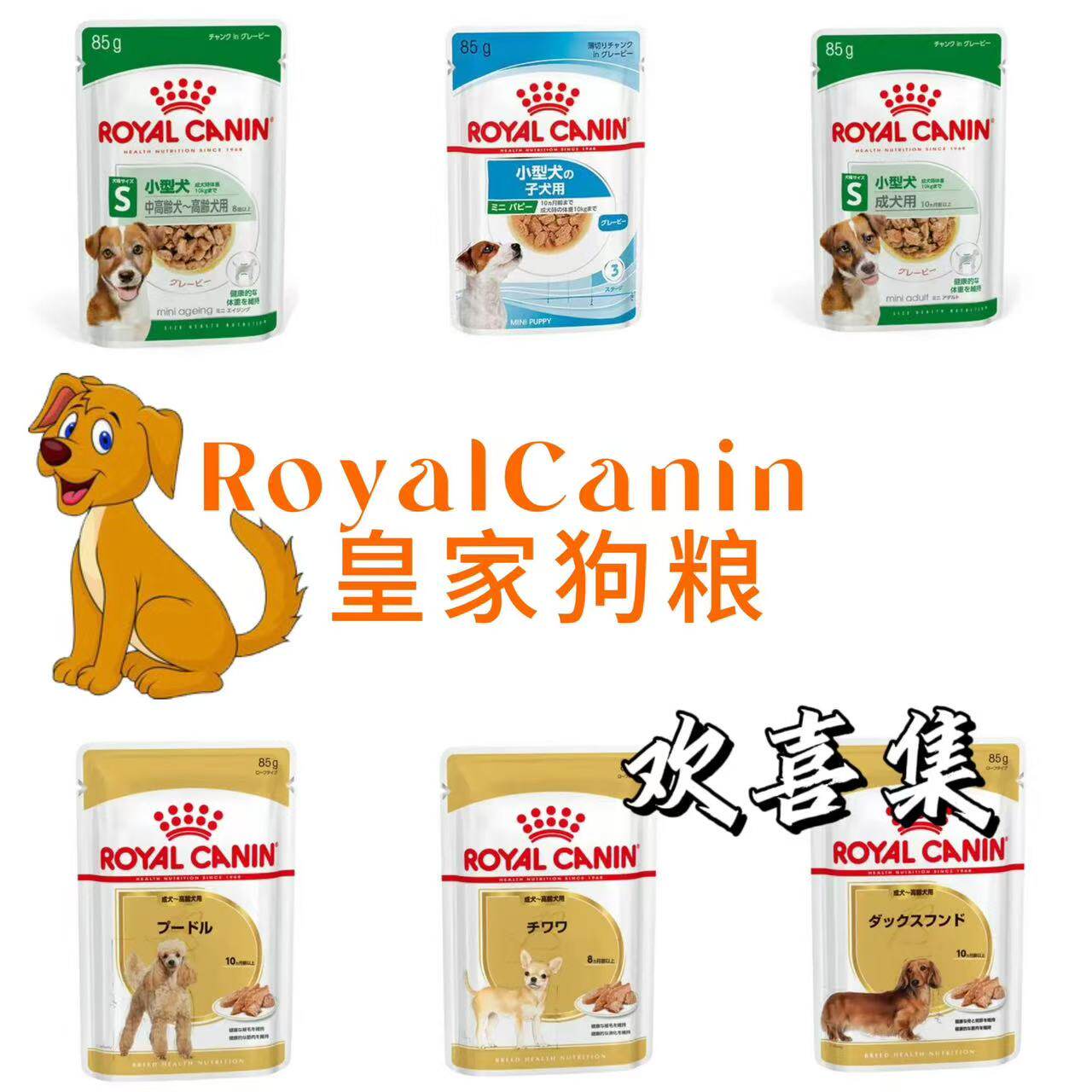 日本直邮皇家狗粮贵宾金毛吉娃娃幼犬成犬全阶段营养配方便携湿粮 - 实物图