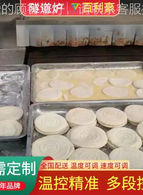 不锈钢道品烘食烤隧炉炉 隧道式烤箱 面饼烘干隧道BLH-450 温度均