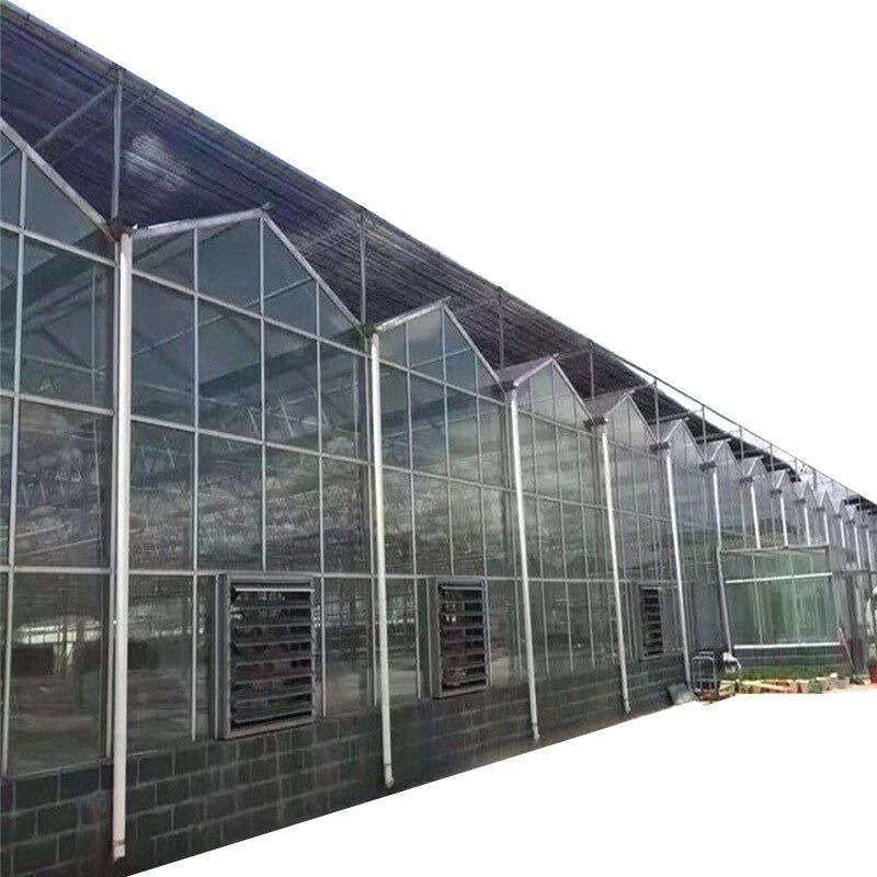 大规模连栋实用型pc阳光板温室大棚全自动控制钢管骨架设计安装