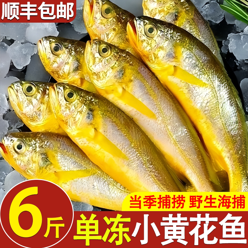 顺丰包邮宁波单冻黄花鱼