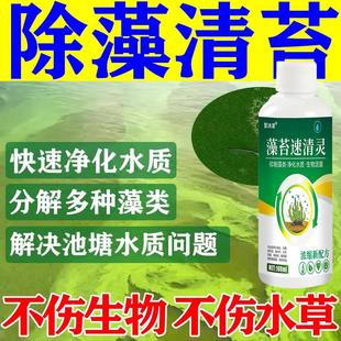青苔一次净室外鱼池除藻去苔剂水产养殖鱼虾塘水池蓝藻绿水清除y