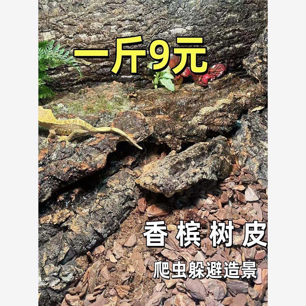 香槟软木树皮爬宠缸躲避