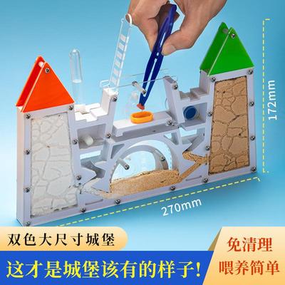 大号蚂蚁城堡工坊蚁后学