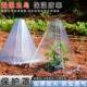育苗保护罩植物大号透明方形钟方便神器免受防虫鸟类伤害透色加厚