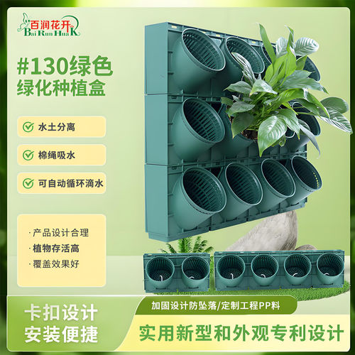 13口径立体专用绿化植物