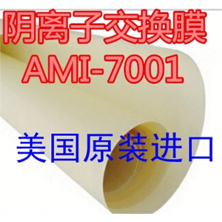 美国原装阴离子交换膜AMI