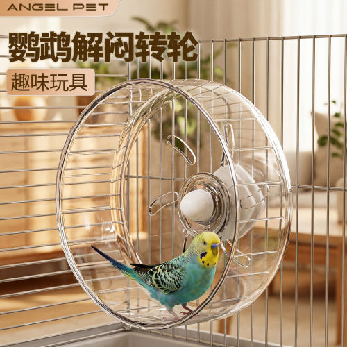 鹦鹉跑轮玩具虎皮玄风牡
