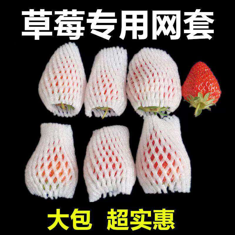 草莓水果网套防震泡沫网枇杷橘子保护套鸡蛋防撞网兜水果防护网
