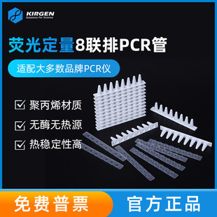 KIRGEN科进0.1ml0.2ml 8连管荧光定量PCR八排管8联排KG2541KG2531