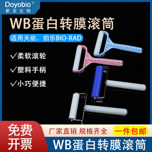 国产伯乐Western Blot转膜滚筒WB滚轮蛋白转膜贴膜赶气泡硅胶滚子