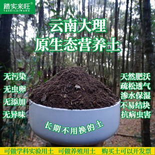 有机盆栽营养土天然腐殖土养花种花土种菜种植土多肉泥土花通用型