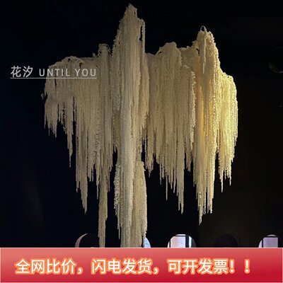 干燥花吊米永生花柔丽丝
