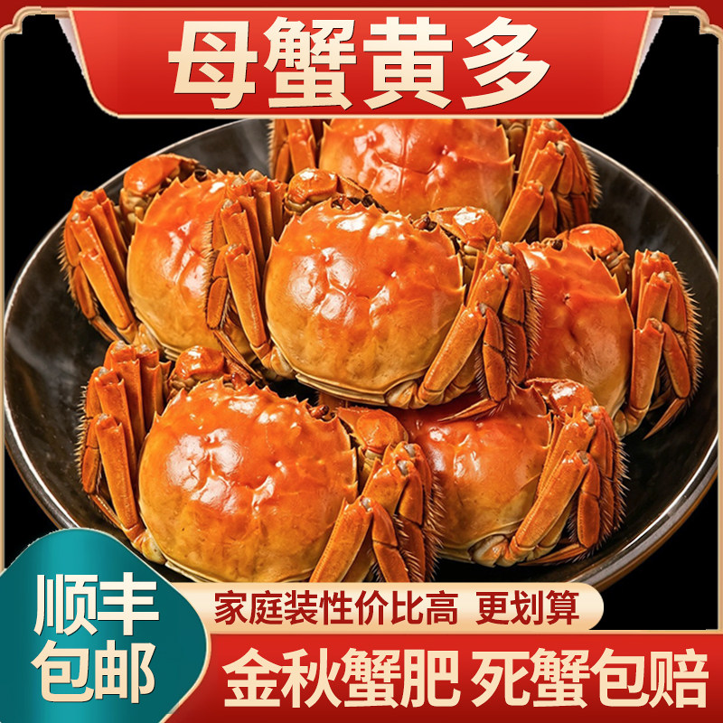 [活蟹]满黄全母小螃蟹公母鲜活大闸蟹稻田蟹河蟹小毛蟹海鲜水产