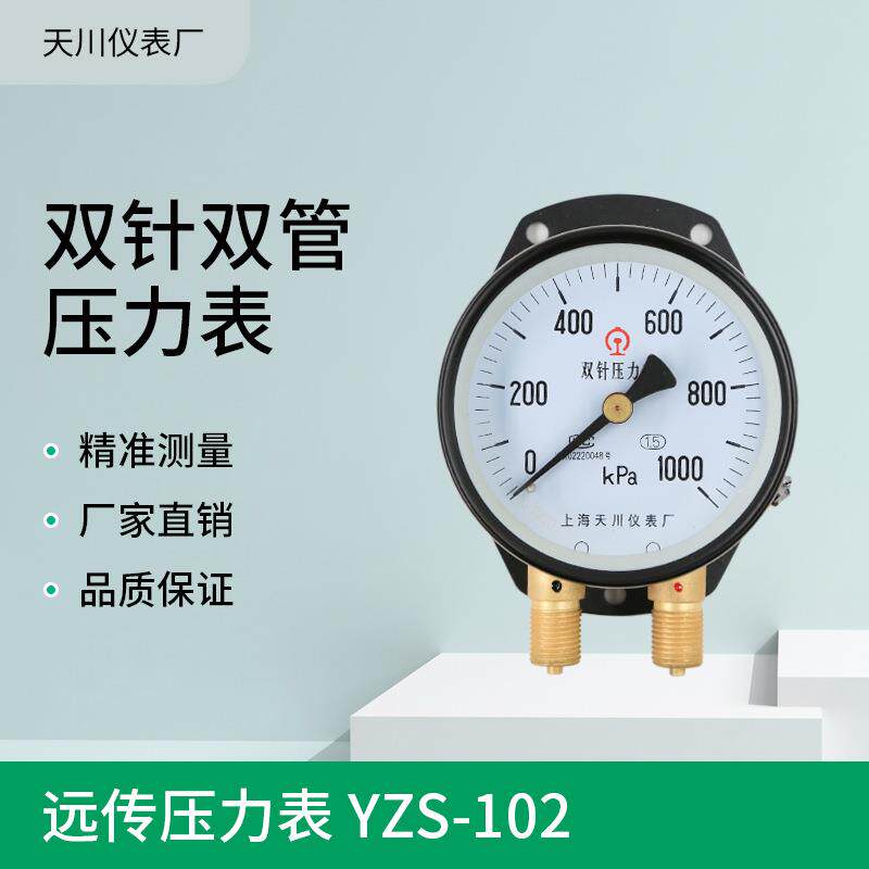 YZS-102双针双管压力表铁路面板压力表1000KPa上海压力表