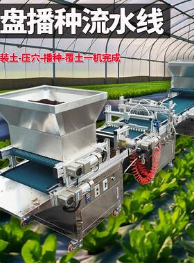蔬菜穴盘覆土压穴播种一体机针吸式辣椒花卉岩棉电动种植机点播机