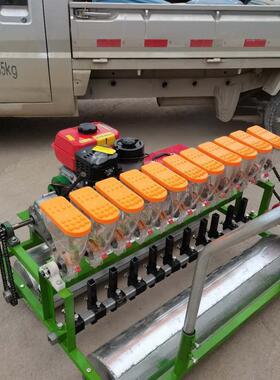 自走大棚蔬菜播种机免间苗油菜精播机黄芩柴胡种植机