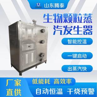 节能不锈钢蒸汽锅炉 蒸汽发生器定制全自动生物质颗粒蒸汽机立式