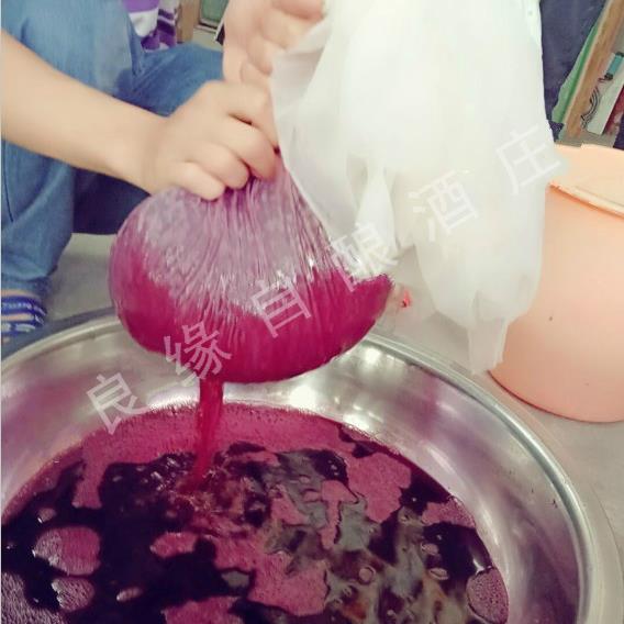 自酿葡萄酒过滤米酒白酒滤酒器超细密豆浆过滤网袋食品级家用纱布