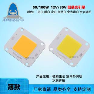 50W免驱动12V大功率LED灯珠倒装光集成光源白光暖光全光谱植物灯