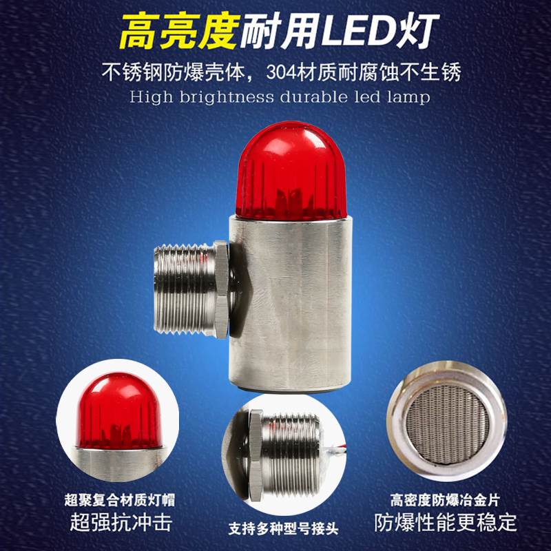 工业防爆型不锈钢声光报警器12v一体气体探测警示灯24v闪光灯led