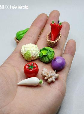 迷你仿真写实蔬菜黄瓜西红柿辣椒萝卜食玩模型微景观摆件桌面礼物