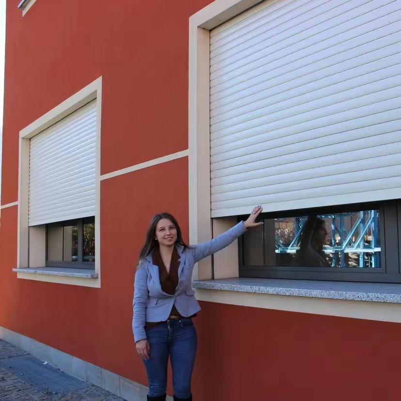 欧式遮阳防风卷帘窗 智能电动遥控升降隔热铝合金 百叶窗帘防盗