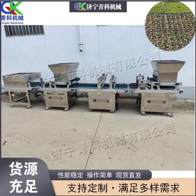 全自动穴盘育苗播种机辣椒蔬菜种子育秧机漂盘覆土压穴一体机