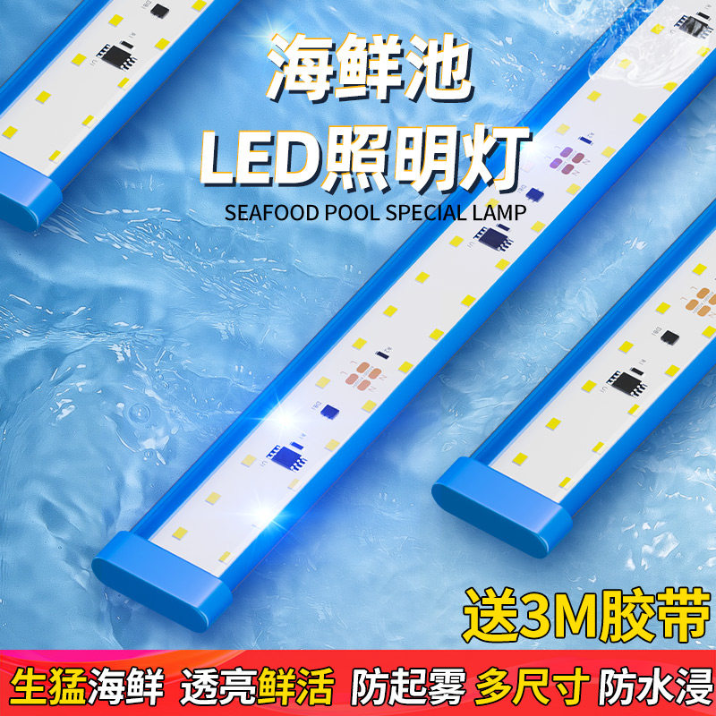 海鲜池专用灯鱼池灯鱼缸灯LED灯防水灯专用海鲜灯照明灯水族灯