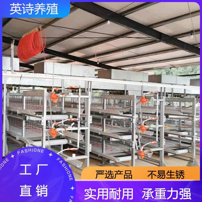 框架肉鸡笼框架式养鸡设备肉鸡笼养殖场鸡舍养鸡笼热镀锌立式