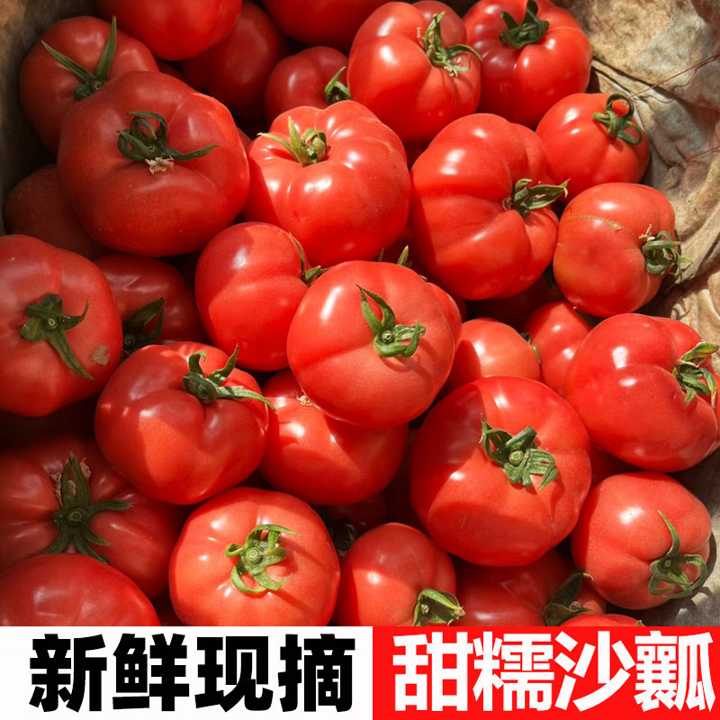 西红柿5斤老品种番茄当季沙瓤西红柿自然熟新鲜生吃普罗旺斯番茄,水产肉类/新鲜蔬果/熟食,番茄,淘宝优惠券,粉丝福利购,淘宝优惠卷