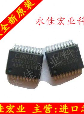 CS5530ISZ  CS5530-ISZ  CS5530IS 模数转换器 - ADC全新原装现货