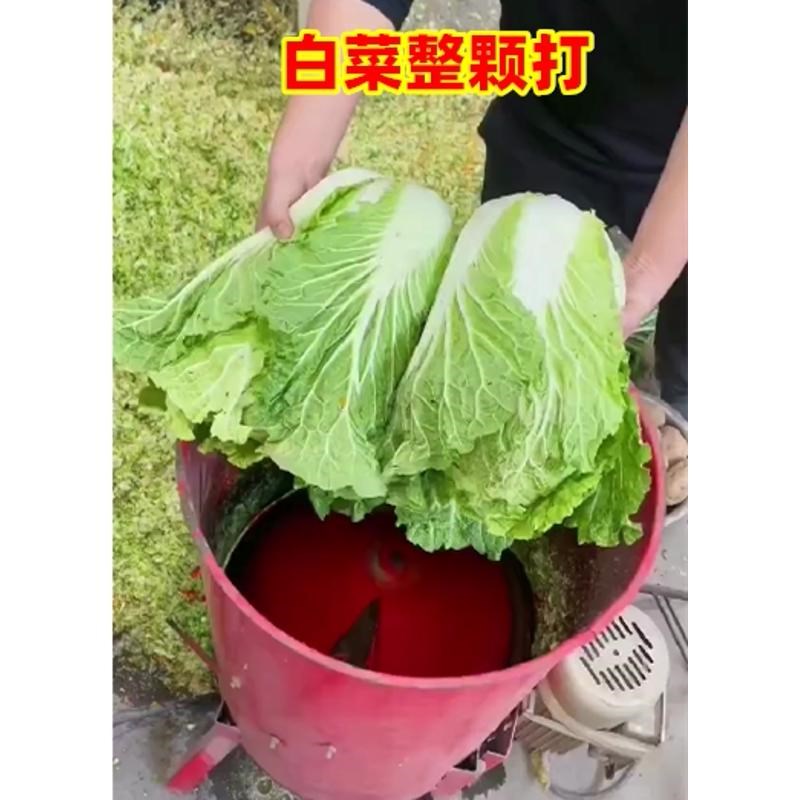 养殖打菜机多功能电动瓜果打碎机蔬菜南瓜萝卜擦丝刨丝打草粉碎机