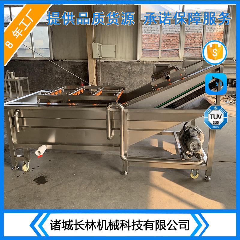 全自动冲浪式清洗设备高压喷淋式气泡清洗机大枣秋葵清洗线