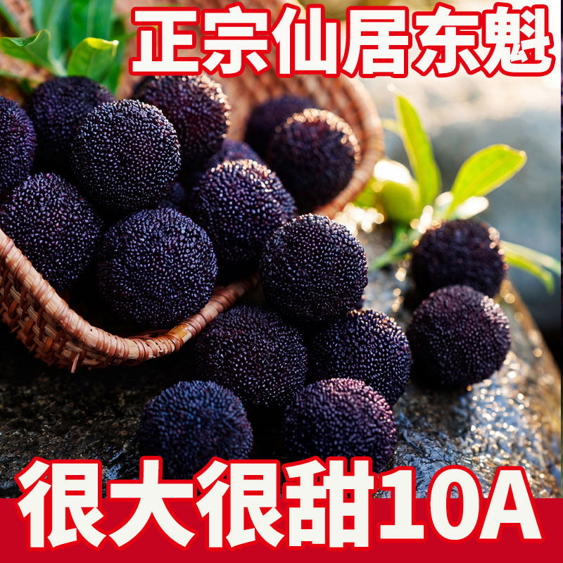高山杨梅10A特大】正宗仙居杨梅新鲜东魁杨梅浙江杨梅鲜果现摘