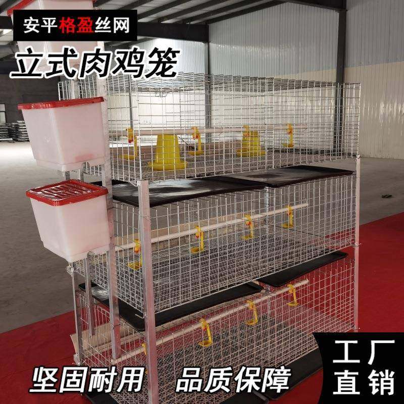 源头厂家供应全自动肉鸡笼镀锌肉鸡笼养殖设备自动清粪,畜牧/养殖物资,特种养殖设备,淘宝优惠券,粉丝福利购,淘宝优惠卷