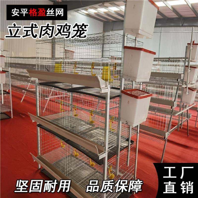 单层多层肉鸡蛋鸡笼立式组装肉鸡笼,畜牧/养殖物资,特种养殖设备,淘宝优惠券,粉丝福利购,淘宝优惠卷