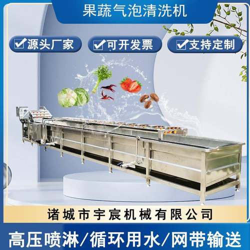 连续式大豆冲浪清洗机大枣枸杞清洗风干设备包装袋气泡冲洗设备