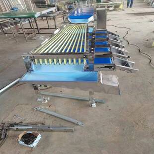 耙耙柑筛选机 青柠分级机 茂谷柑选果机 挑拣机 商用水果分选机