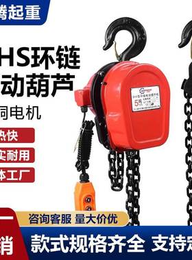DHS环链电动葫芦220v80v升降起重机2吨t10吨挂钩式倒链葫芦配件