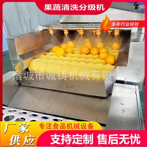 定制全自动水果清洗分级机脐橙清洗分级生产线柑桔洗果机选果机